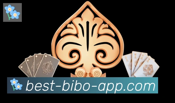 必博bibo官网体育服务体系