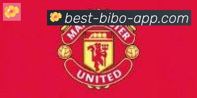 必博bibo官网体育合作伙伴
